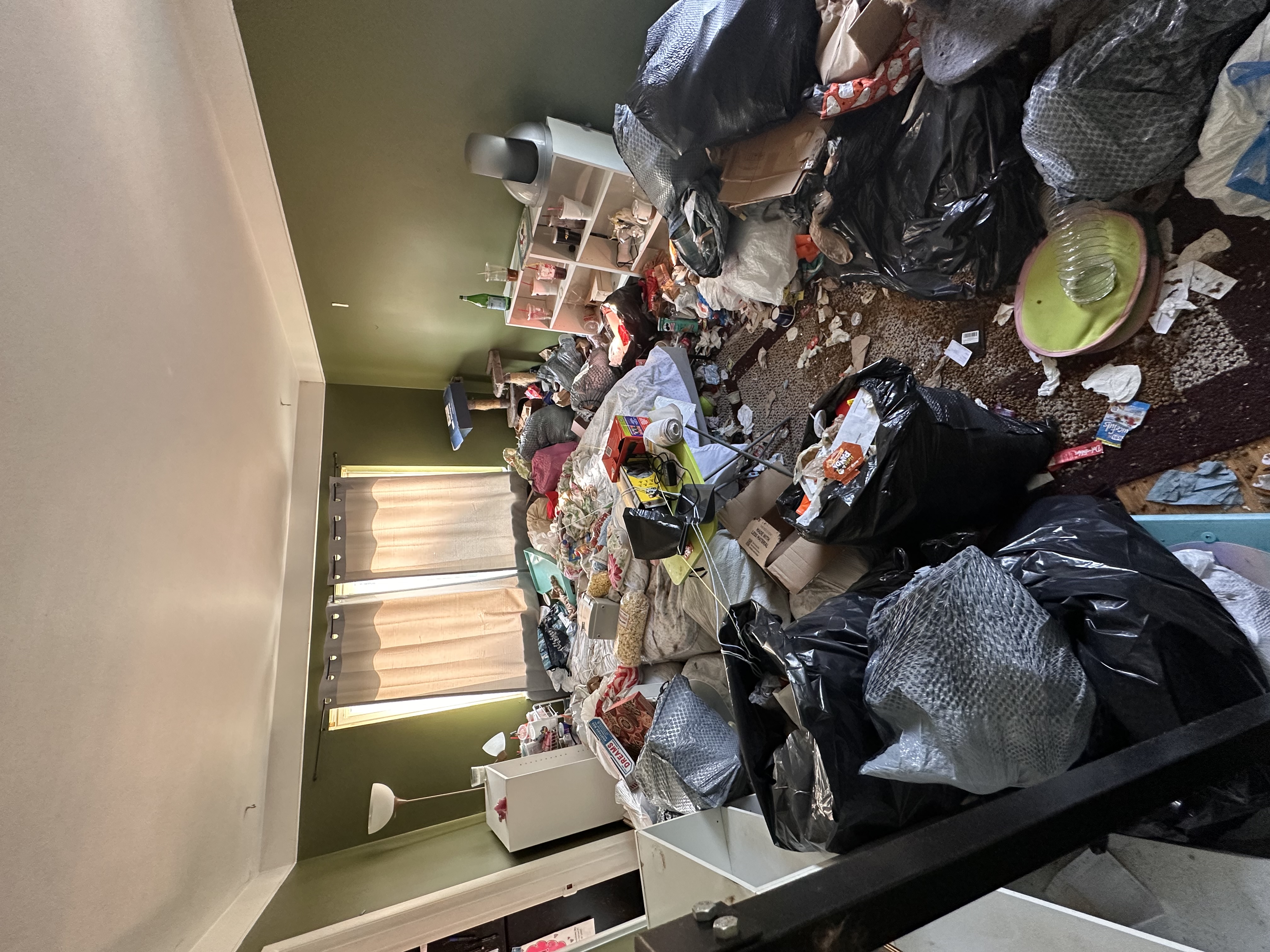 Cincy Junk Busters Project 1